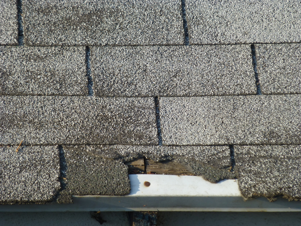roof lead and damage repair sarasota
